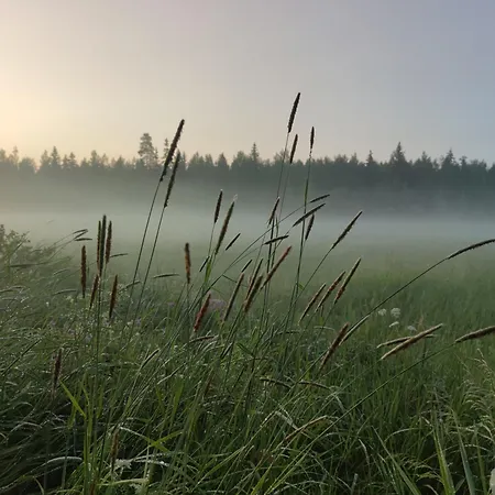 Ellivuori サスタマラ