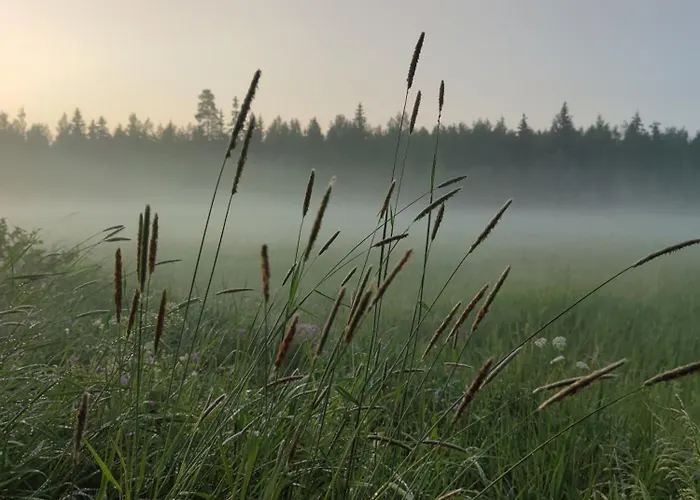 Ellivuori ساستاملا